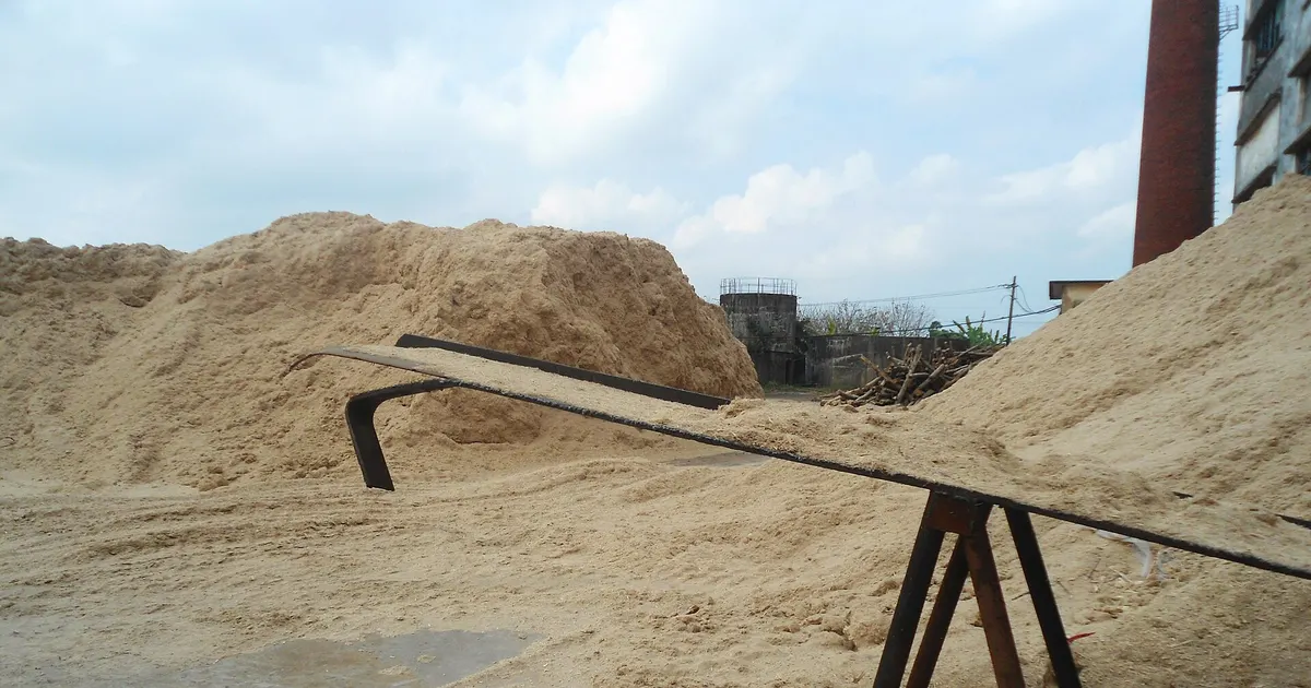 Large pile of bagasse fiber at a sugarcane factory, the raw material in a bamboo vs bagasse pulp comparison